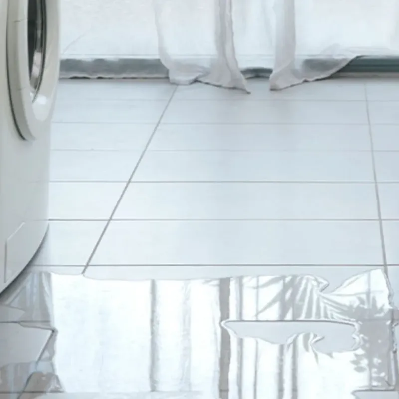 Appliance Leak Cleanup in Alpine, CA